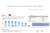 1 Moléculas Células e Tecidos