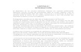 monografia de las carceles bolivianas