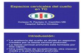 Espacios Anatomicos Del Cuello TC