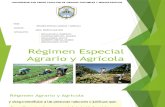 Régimen Especial Agragio y Agrícola
