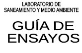 GUIA DE ENSAYOS - PLAN 2016 - CURRICULUM 2013.ppt