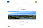 Plan Director de Recursos Hídricos del Río Chubut.pdf
