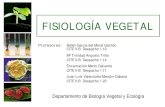 TEMA1 fisiología vegetal