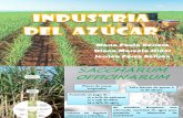 Industria del  azucar. Procesos.pdf