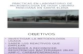 PRÁCTICAS EN LABORATORIO DE MICROBIOLOGÍA DE HOSP.pptx