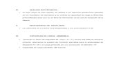 Recomendaciones Paso Subfluvial Cachimbal -La Viciosa--mpio Guadalupe- Huila