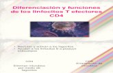 Diferenciación y Funciones de Los Linfocitos T Efectores