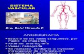 Diagnóstico Por Imagen - Semiología Vascular