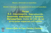 Posgrado-Peces-3-Huevos y larvas.pdf