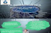 presentacion - BIOENERGETICA
