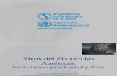 Virus Zika en Las Americas