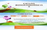 Ciclo Biogeoquimicos Luisa