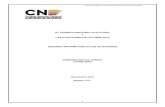 CNE-Segundo Informe de Actividades (D