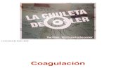 Coagulacion - La Chuleta de Osler