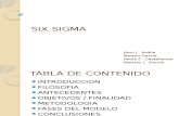 Seis Sigma (Six Sigma)