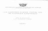 Luis Gurmendi Robles, La Gastrectomia Total en el Cáncer Gástrico