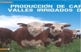 Producción de Carne Vacuna en Los Valles Irrigados