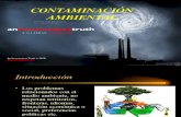 Conferencia Contaminación Ambiental_prueba Desempeño