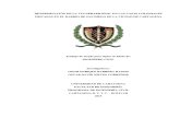 DETERMINACIÓN DE LA VULNERABILIDAD EN LAS CASAS COLONIALES UBICADAS EN EL BARRIO DE SAN DIEGO DE LA CIUDAD DE CARTAGENA (1).pdf