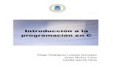 Libro de Programación en C