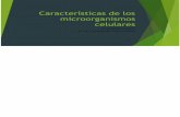 Unidad 4 Características de Los Microorganismos Celulares