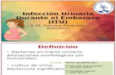 Infección Urinaria Durante El Embarazo (ITU)