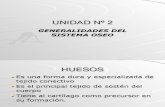 Inst. Quirúrgica - 1º Año - Anatomía - Unidad Nº2 - Generalidades del Sistema Óseo(1).ppt