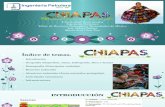 Chiapas Taller de Recursos y Necesidades de México