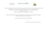 Agencia Chilena de Eficiencia Energética Razones de La Adopción Del Modelo Publico Privado y Sus Implicancias (1)