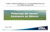 Potencial Del Sector Azucarero en México