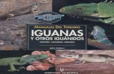 Iguanas y Otros Iguanidos.com