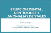 EsTomato. denticiones