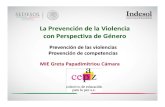Cómo Contribuye La Perspectiva de Género en La Prevención y Atención de La Violencia Hacia Las Mujeres Desde Las OSC
