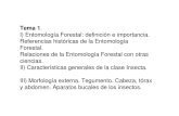 1911826271.ENT Forestal Tema1- Historia