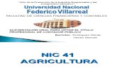 Aplicacion de la NIC 41 - Agricultura