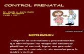 Control Prenatal Mi Presentacion Para Simposio - 2014