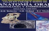 Atlas en Color y Texto de Anatomía Oral Histologia y Embriologica - Berkovitz