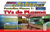 Club Saber Electrónica Nro. 42. Pantallas Planas 1. TVs de Plasma