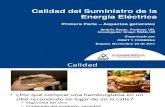 calidad-de energía-24-11-2011.pdf