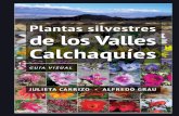 Plantas Silvestres de Los Valles Calchaquies