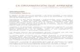 p0001_file_la Organizacion Que Aprende 13 Marzo 2003