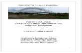 Inspeccion Puente Colimes Proyecto