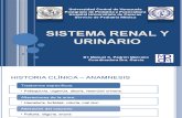 Seminario - Sistema Renal y Urinario