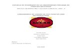 lanzamiento de kebab liam peru tesis.pdf