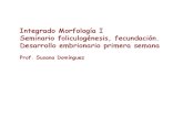 1. Foliculogénesis, Fecundación H.pdf