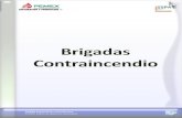 Manual Brigadas Contraincendio 080110