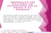Grupo 3 Animales en Peligro de Extinciòn en El Perù