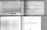 Hornstein, Luis.(2006) Las Depresiones