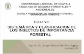 SISTEMÁTICA Y CLASIFICACION DE LOS INSECTOS DE IMPORTANCIA FORESTAL