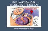 2 Evalaucion Del Bienestar Fetal A